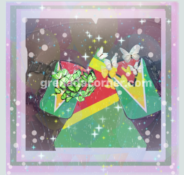 🇬🇾GEO BICEP/ THIGH PURSE