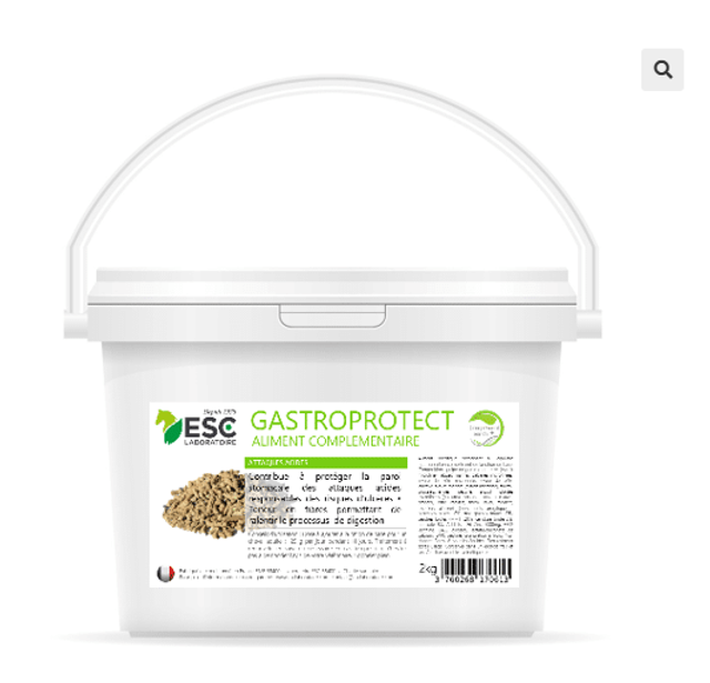 GASTRO PROTECT – Estomac sensible cheval – Complément enrichi à base de plantes