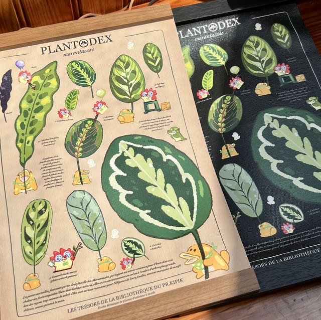 ❀ Précommande ❀ - Toile A4/A3 - Plantodex Marantacea