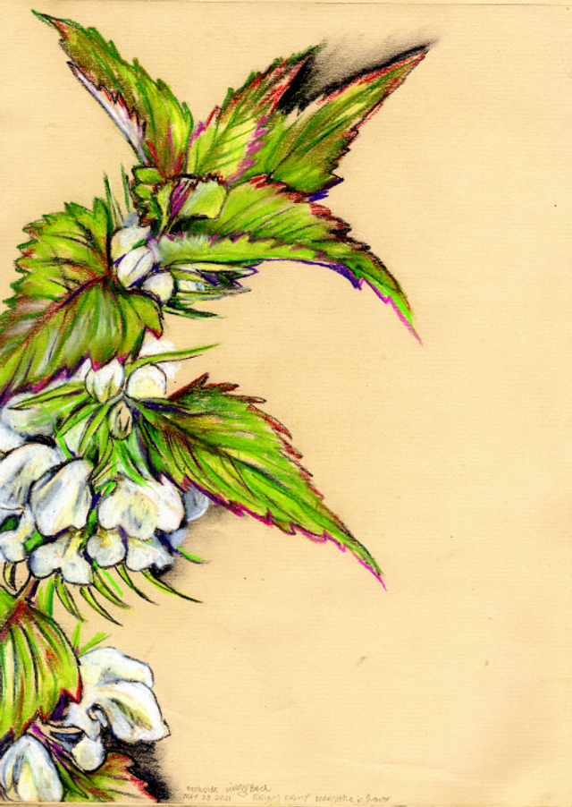 Nettles Tea Towel - 100% organic cotton tea towel