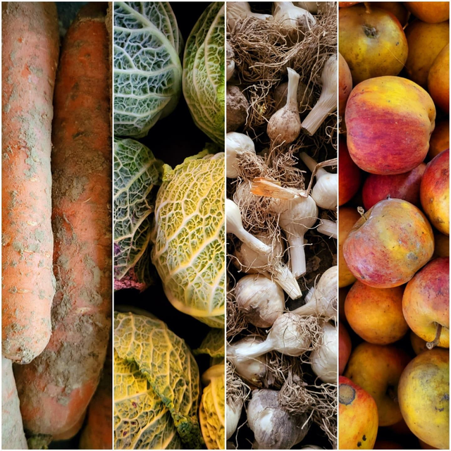 1 Panier paysan  ( légumes + fruits)