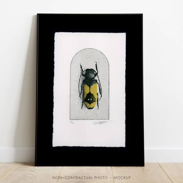 Fine art etching / Phosphorus Virescens