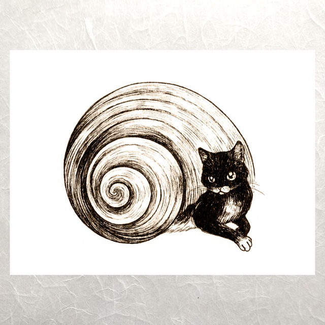 Shell Cats - Watchful