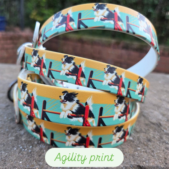 Agility Collie biothane collar