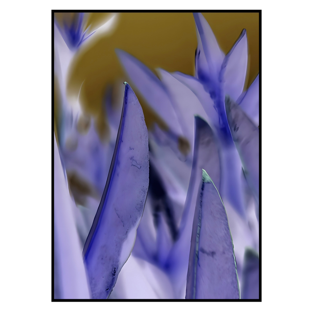 NV 021