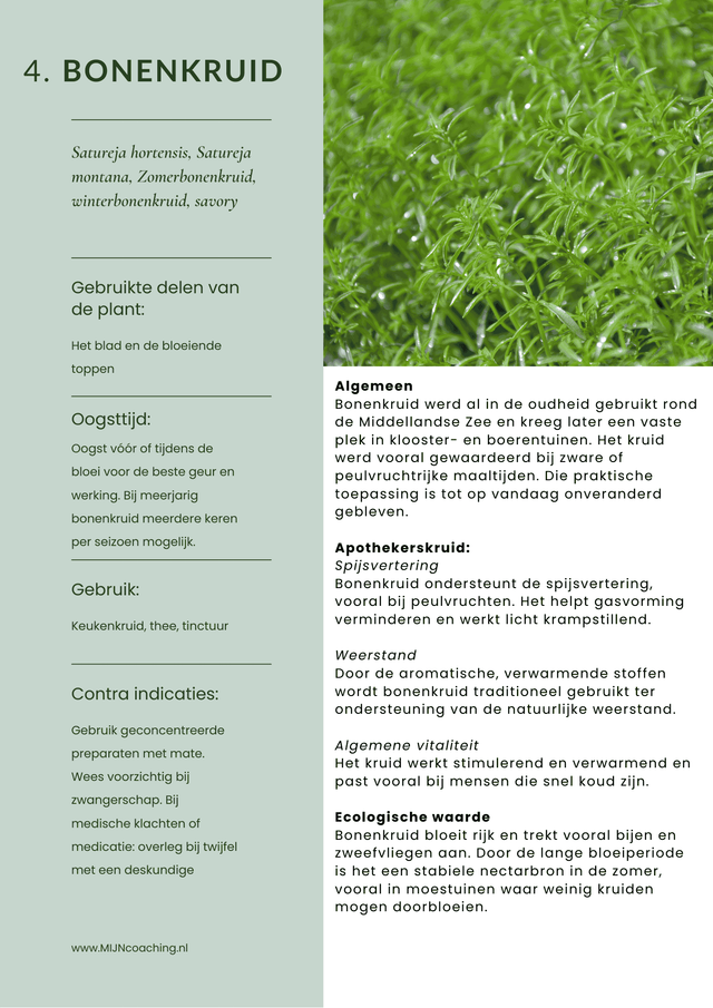 E-book Keukenkruiden