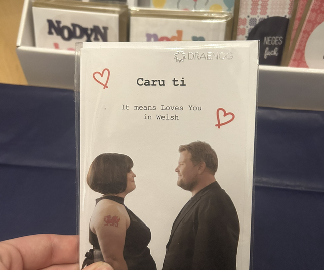 Draenog Designs - Caru Ti (Nessa Gavin and Stacey)