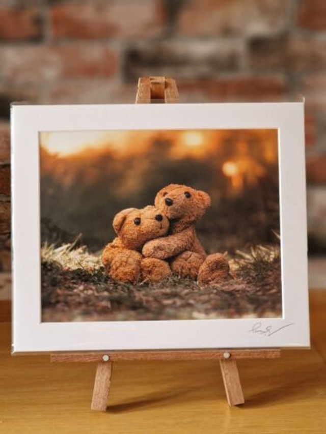 Teddy Bear Hugs