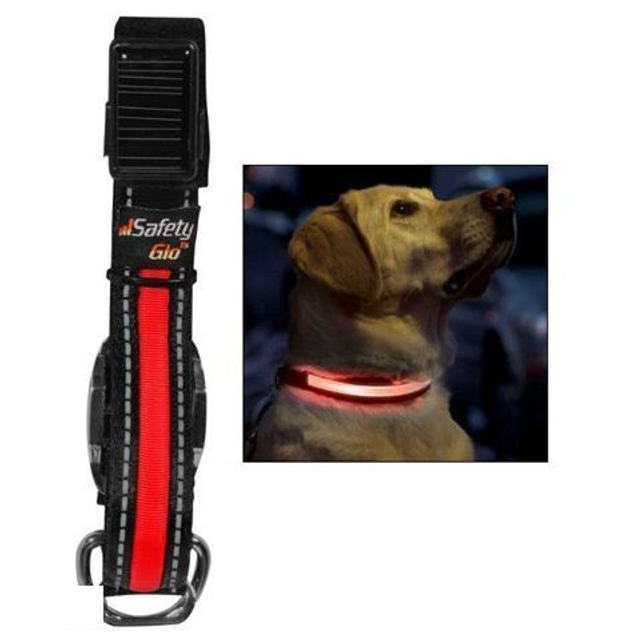 Safety Glo veiligheidshalsband met LED licht oplaadbaar S