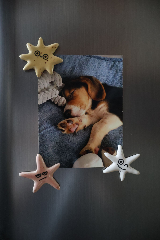 Le trio d’étoiles 