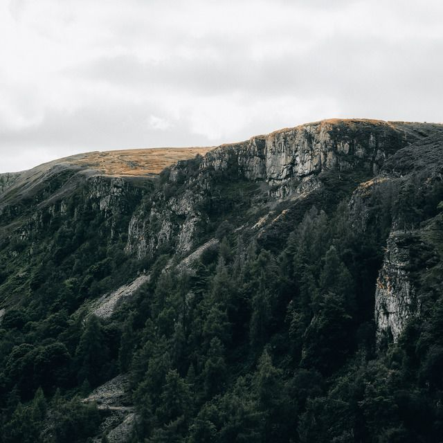 The Collection (50 Lightroom Presets)