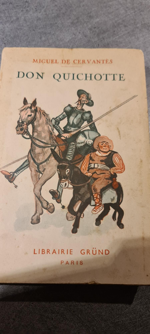 Don quichotte