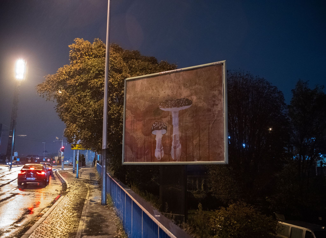 Paul Mignard, Mois de la viande étroite