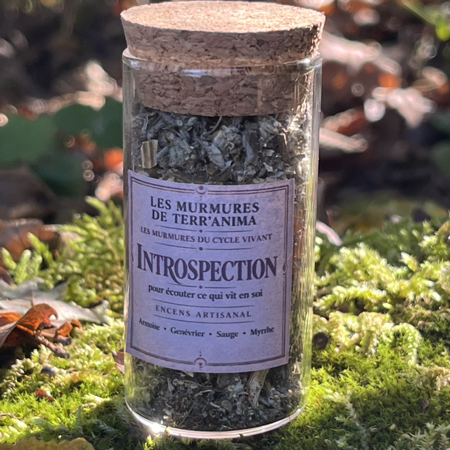 Encens "INTROSPECTION"