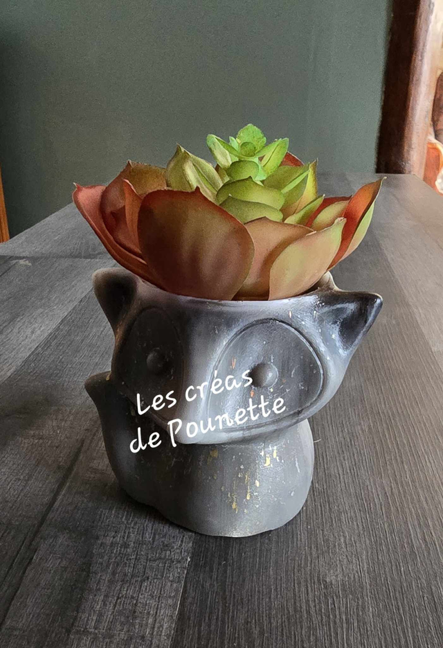 Petits pots renards et cochon d'inde pour succulentes