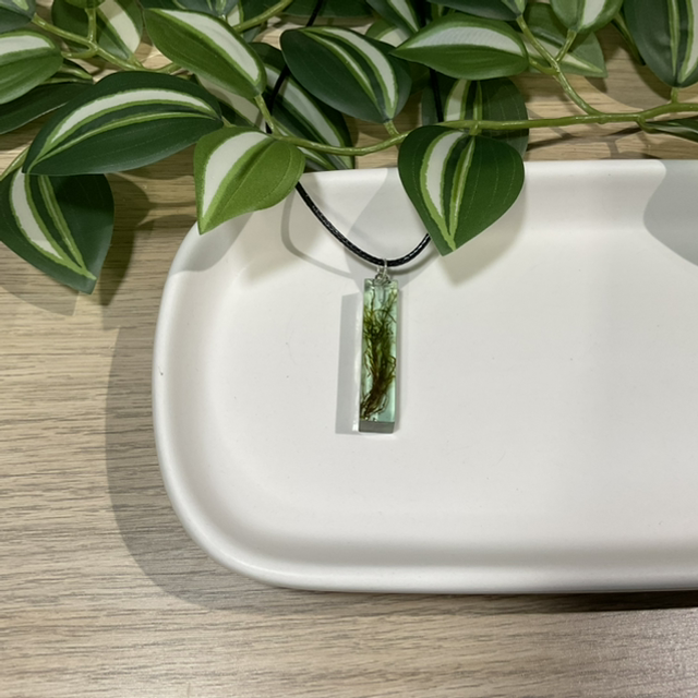 Natur: Halskette K0053