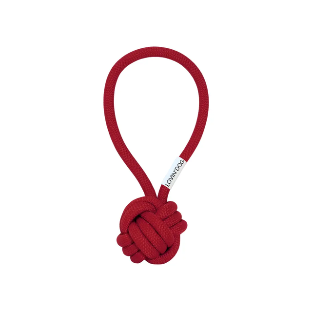 Jouet pour chien – Slingball LIO