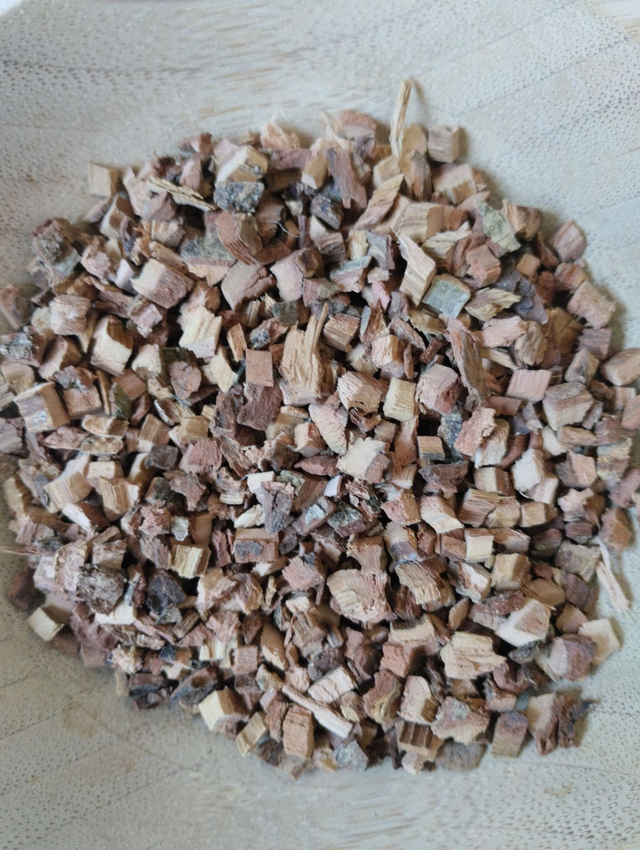 Ecorce de chêne (Quercus robur) 