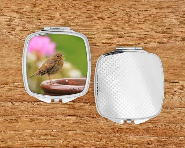 "Baby Robin" Compact Mirror  