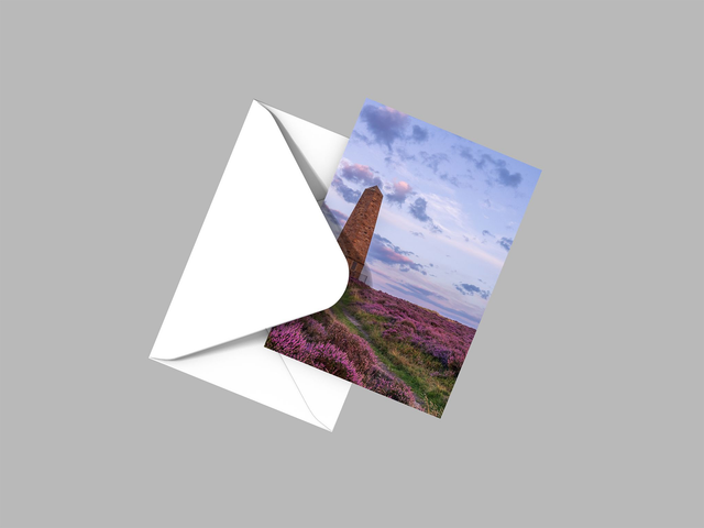 Aye Aye Captain, Captain Cooks Monument 