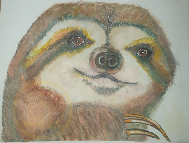 Sloth