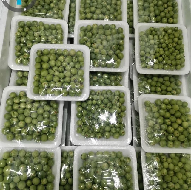 Small eggplant มะเขือพวง