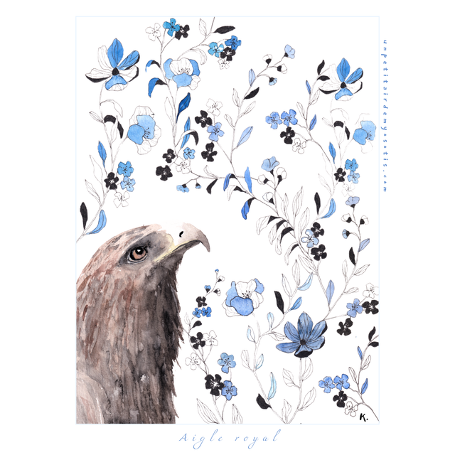 Carte postale Aigle royal 