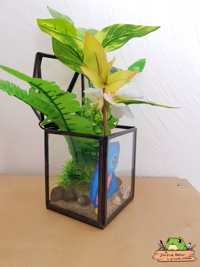 Compagnon sur la plage