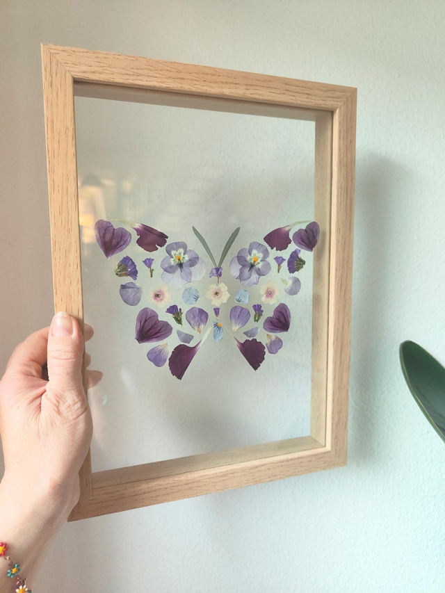 Herbier entre 2 verres