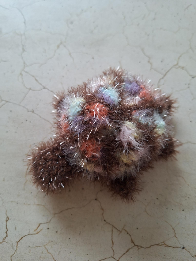 Schwamm Schildkröte