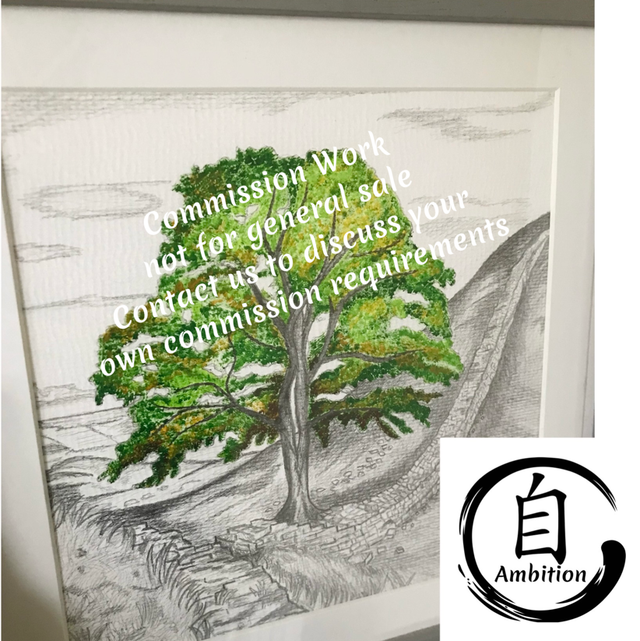 Sycamore Gap by Roy Walton x Ambition Artwork