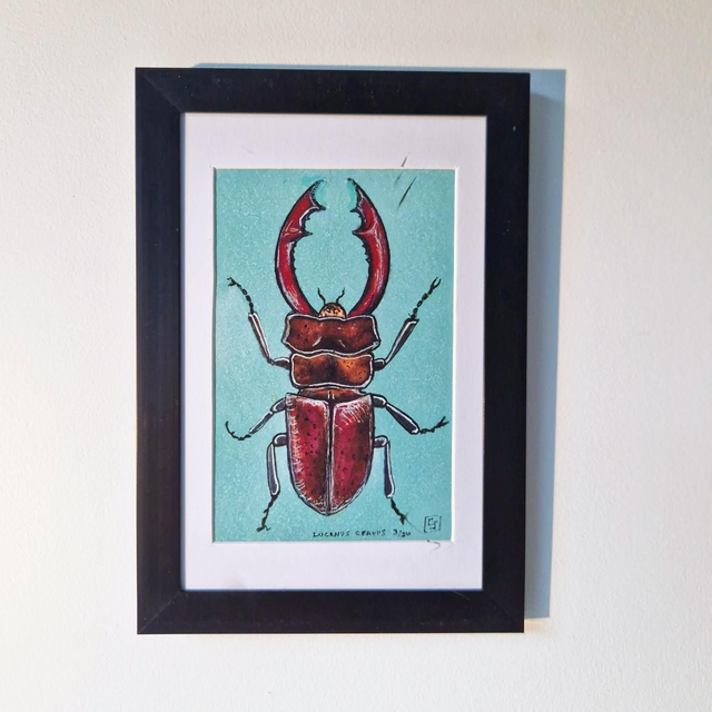 "Lucanus Cervus"