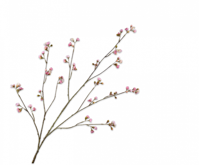 Silk-Ka Bloesem Tak Roze
