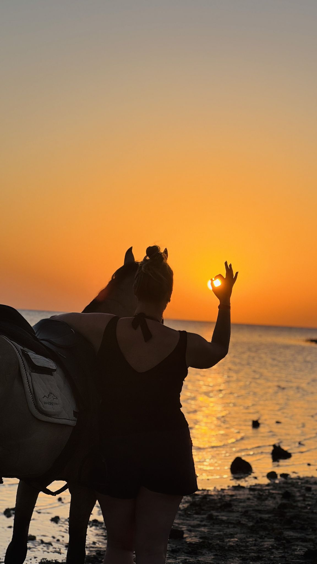 Balade à cheval + nage avec le cheval