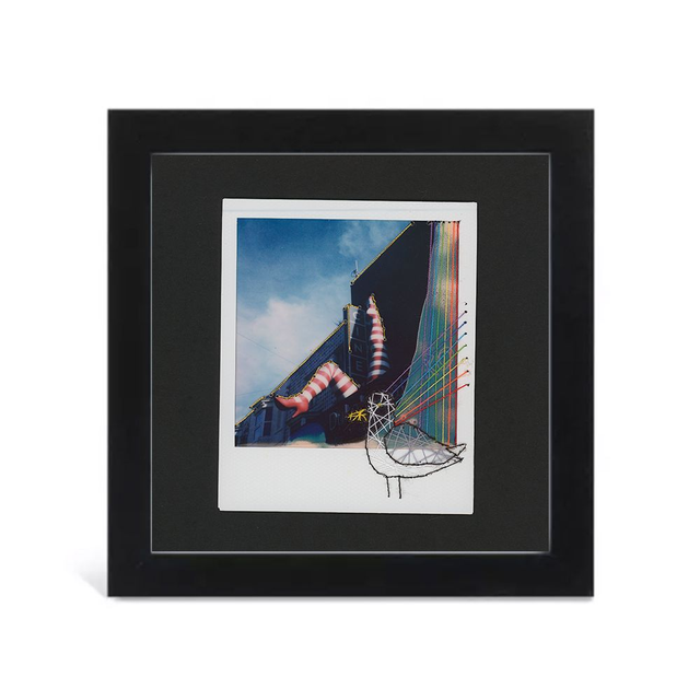 Framed Duke's Legs &amp; Seagull Polaroid Film with Embroidery Artwork