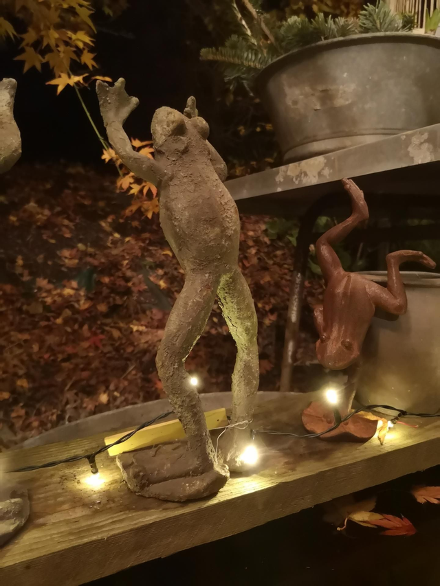 Grenouille qui danse