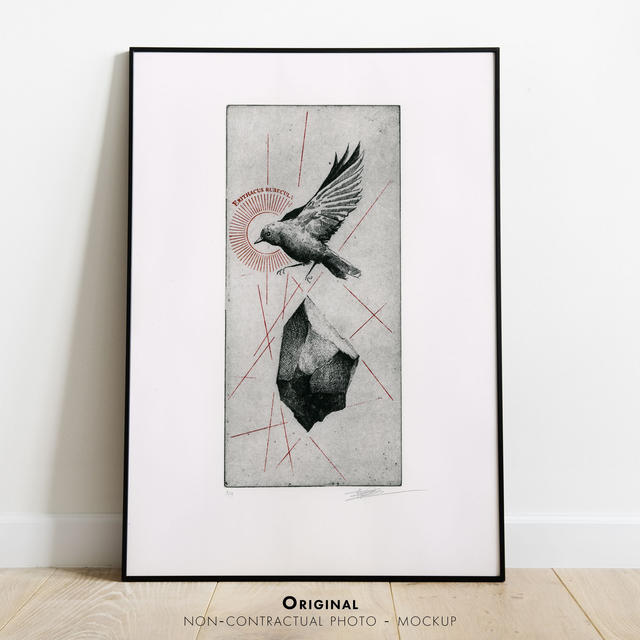 Fine art etching / Not Framed / Red Erithacus Rubecula bird