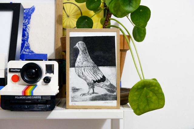 Le petit pigeon - gravure tetra pak ®