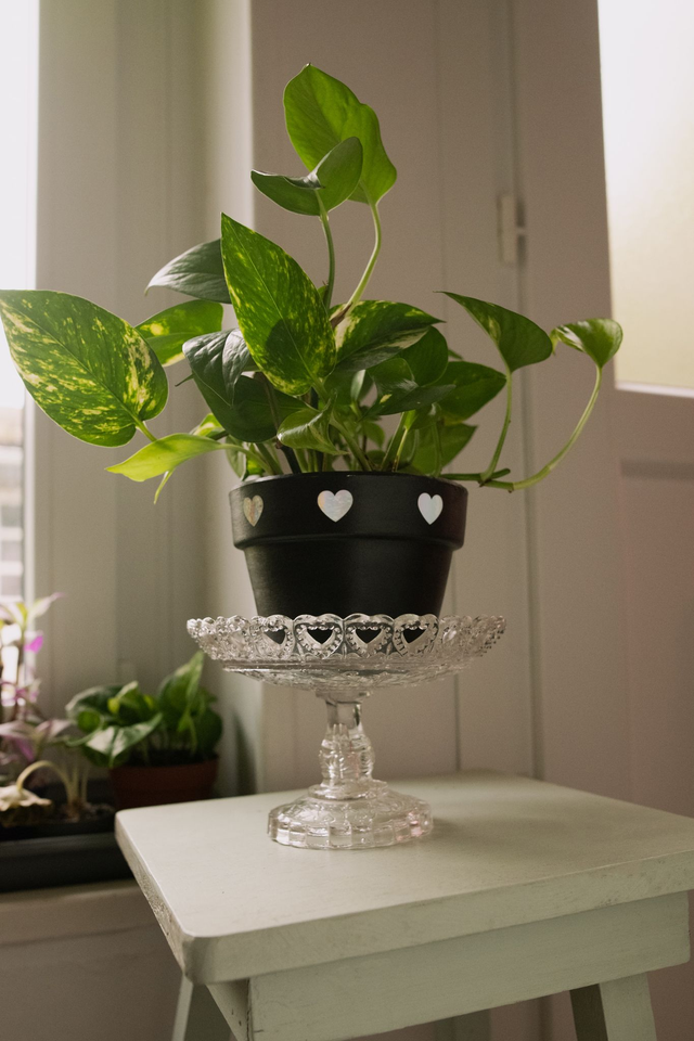 Compotier, présentoir en cristal avec des petits coeurs ✨