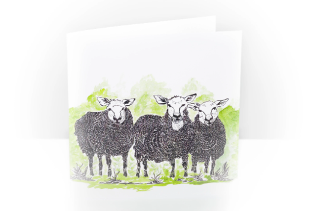 Sheep Ink and watercolor Greeting Card