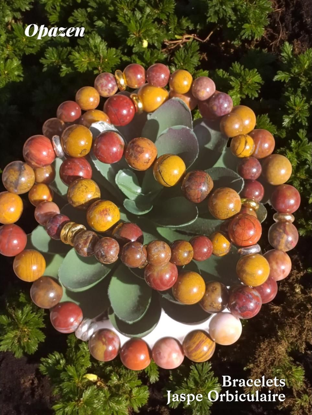 Bracelets Jaspe orbiculaire 