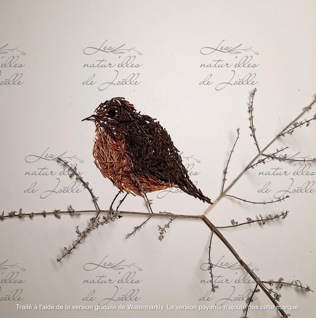 Moineau transi 20x20cm Papier classique 180g 