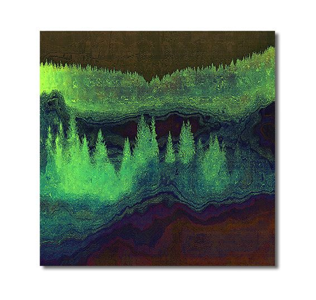 02 Nature - When We Are Illuminated, 2020.