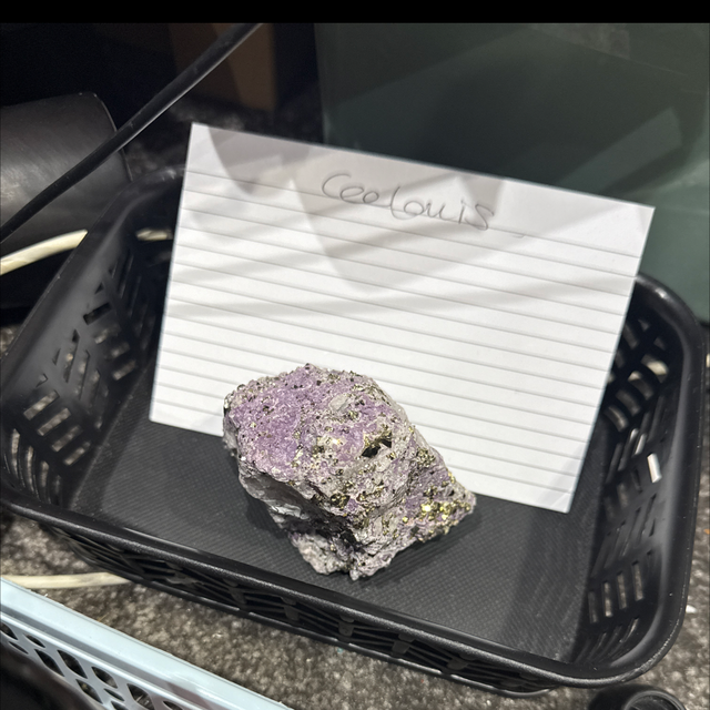 Ceelouise live claims