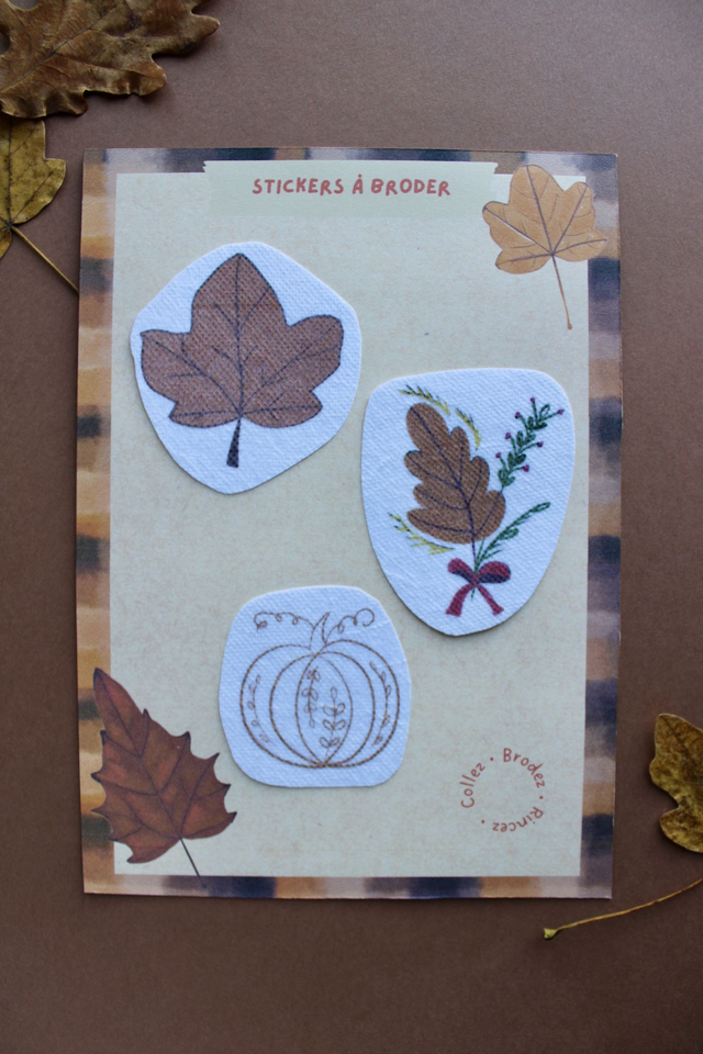 Trio d’automne - La citrouille en couleurs