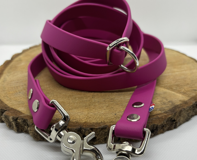 Laisse multipositions