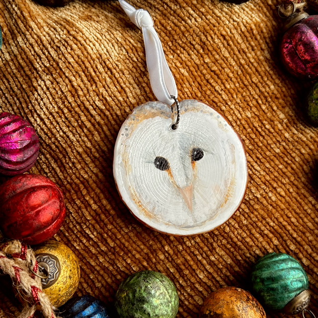 Hand Painted Owl Decoration