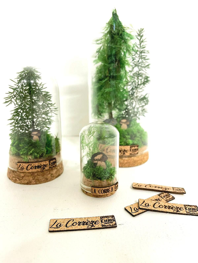 Cloche miniature à l'image de la Corrèze, forêt de sapins et cèpes 