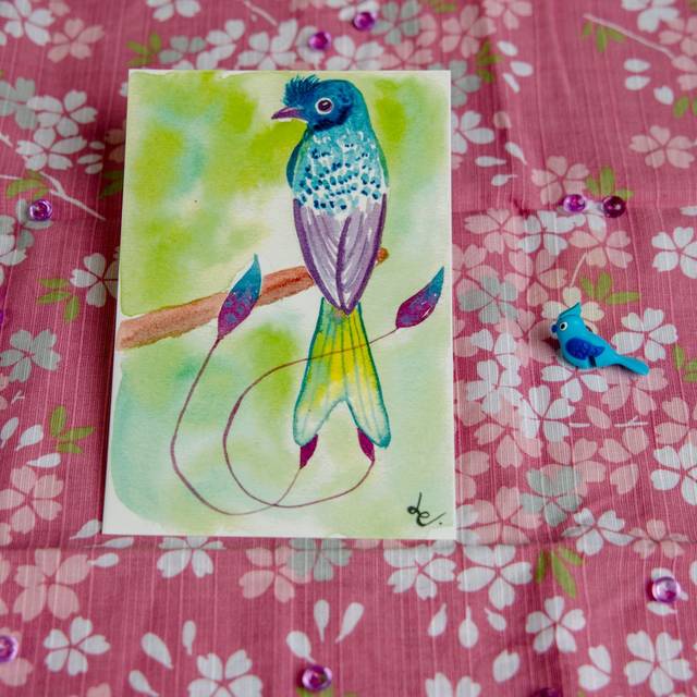 Tirage d'art  - Plumette