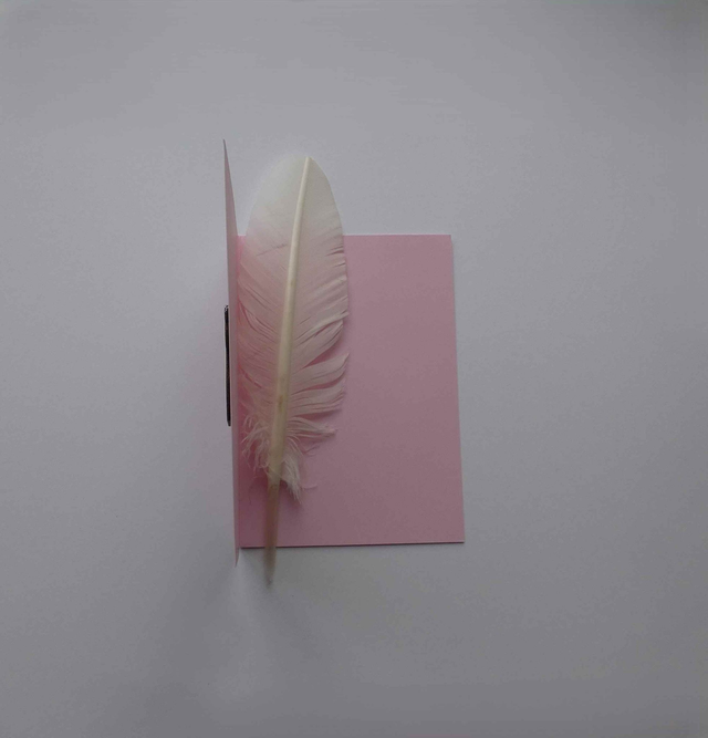 Le chat de la bonne année